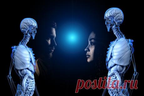 Начать новую жизнь или как обмануть свой мозг | Синдром Таррагоны | Яндекс Дзен