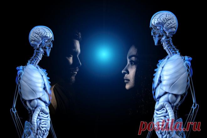 Начать новую жизнь или как обмануть свой мозг | Синдром Таррагоны | Яндекс Дзен