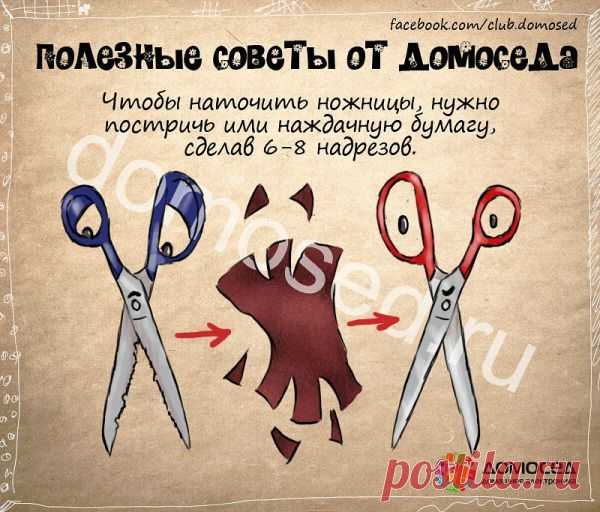 Как наточить ножницы дома