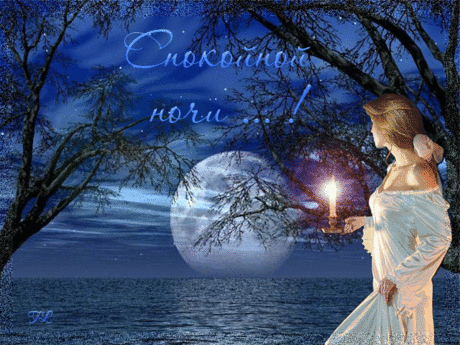 Спокойной ночи! Сладких снов!