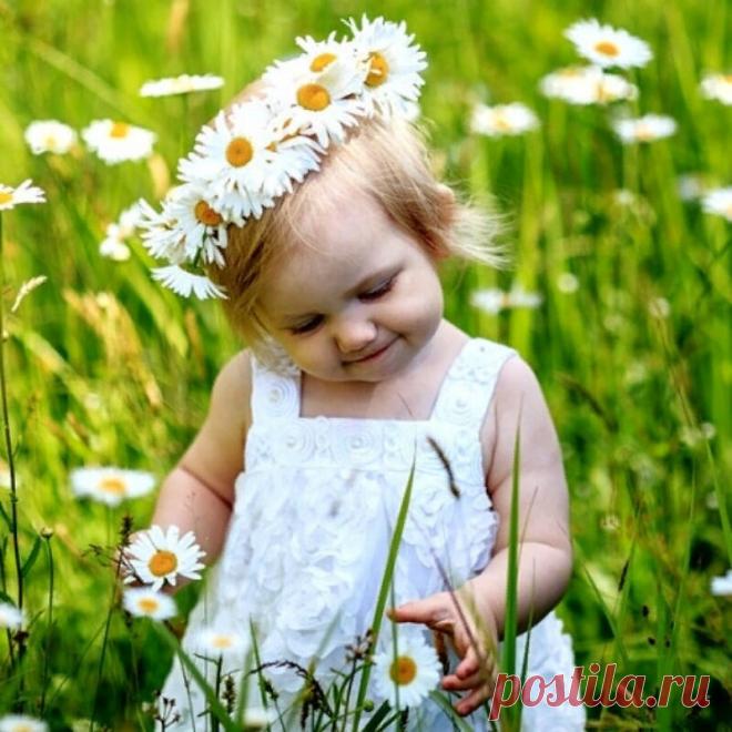 Ромашки словно чистая вода.. 
Их часто дарят людям в знак признания.. 
Известно - там, где падает звезда... 
Цветёт ромашка...Загадай желание !