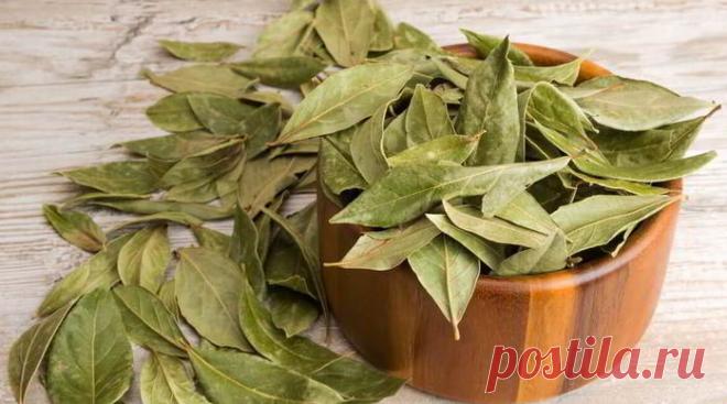 Лавровый лист - отличное средство от морщин