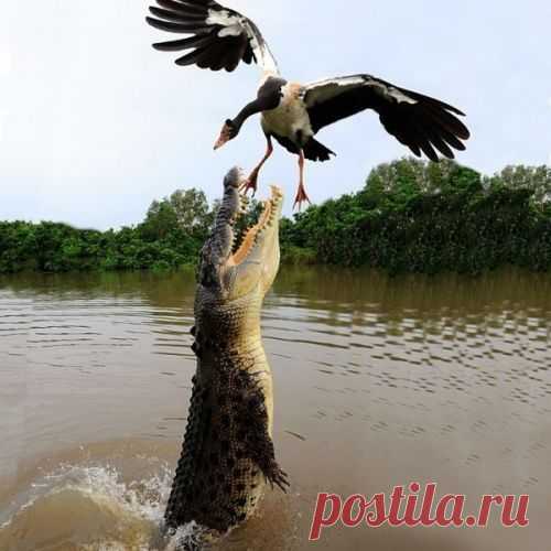 Будь в форме!