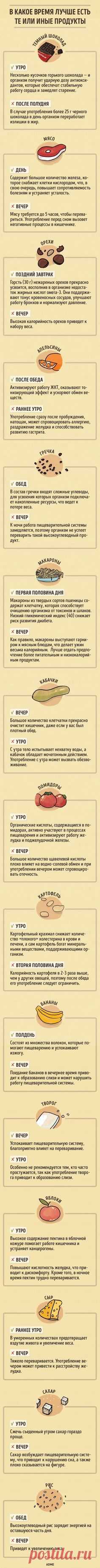 В какое время дня лучше есть те или иные продукты: