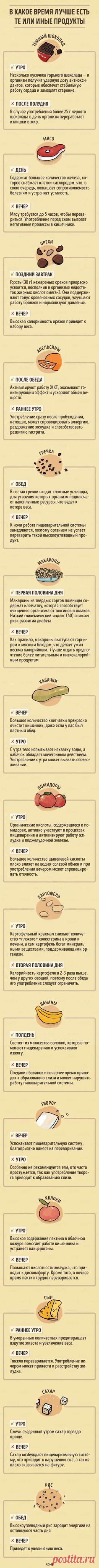 В какое время дня лучше есть те или иные продукты: