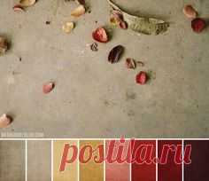 (4) Pinterest: scopri e salva idee creative