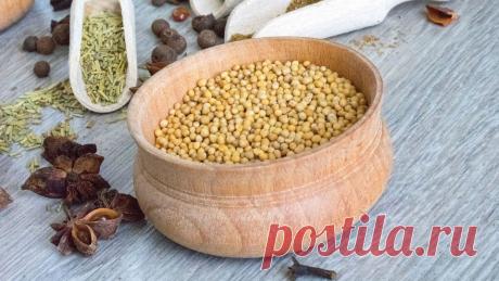 Горчица: польза и вред для организма мужчин, женщин, детей В чем заключается польза и вред горчицы для организма мужчин, женщин и детей? Отвечаем на этот и другие популярные вопросы вместе с диетологом Еленой Соломатиной, а также делимся простыми и вкусными рецептами блюд с этой приправой.