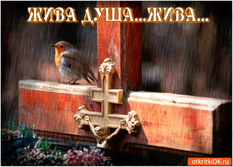 Душа всегда жива - С Радоницей - Бесплатные Открытки на otkritkiok.ru