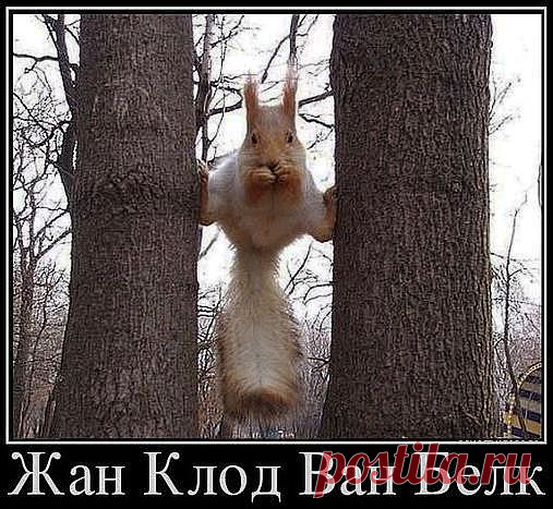 (+1) - Фото, вызывающие эмоции... продолжение | ОБОРЖАКА ;)