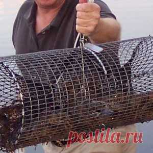 Раколовка своими руками - МирТесен