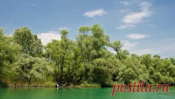 Momir Matkovic - Momir Matkovics Fotos | Facebook