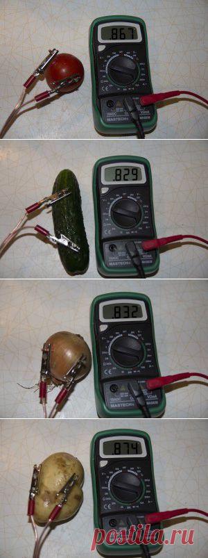 Овощная батарейка| Занимательная наука