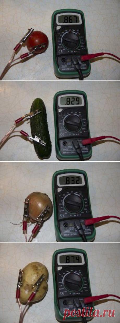 Овощная батарейка| Занимательная наука