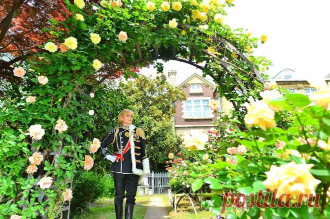 Photo shared by FRAN on May 15, 2021 tagging @fran_26092016. May be an image of 1 person, standing, rose, tree and outdoors.