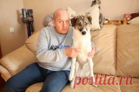 SHOT: пес умершего Вячеслава Гришечкина продолжает ждать своего хозяина. Собаку хочет забрать к себе бывший директор актера.