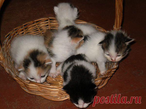 Мой Мир@Mail.Ru