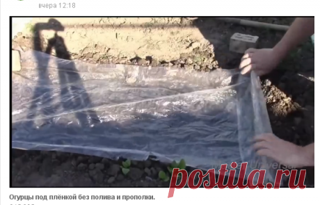 (93) Одноклассники