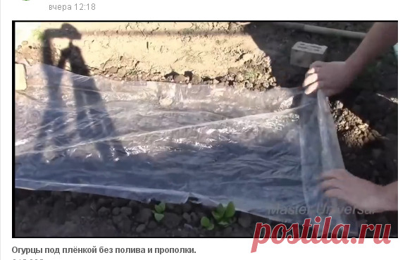 (93) Одноклассники