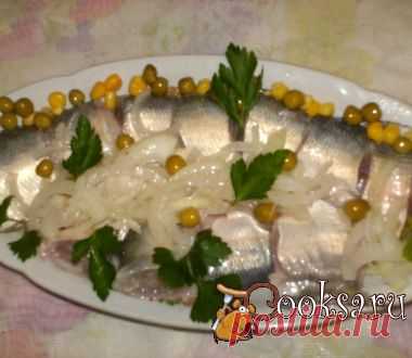 Пелядь малосольная фото рецепт приготовления