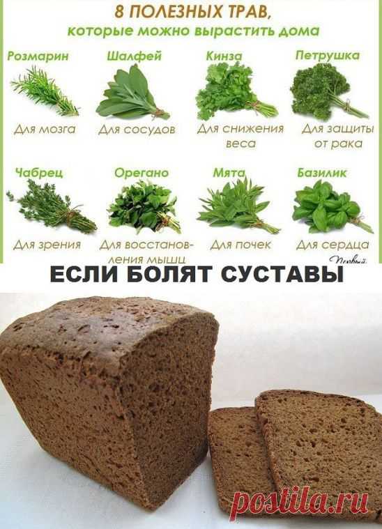 (3) Одноклассники