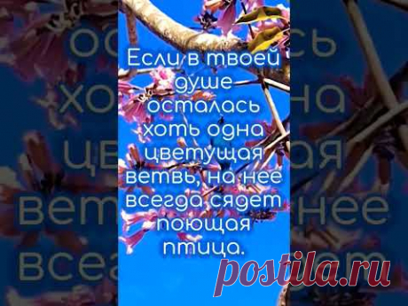 🌳 Наша цель - распространение идей гуманизма, здорового образа жизни, взаимоуважения и добрых культурных традиций. 🙏 Sad Memories by Free Music | https://s...
