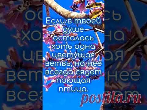 🌳 Наша цель - распространение идей гуманизма, здорового образа жизни, взаимоуважения и добрых культурных традиций. 🙏 Sad Memories by Free Music | https://s...