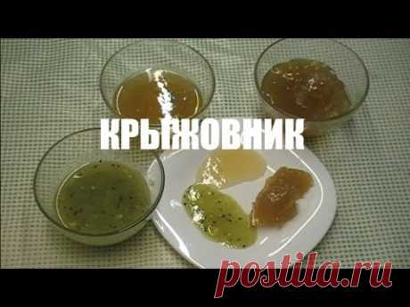 Ароматное варенье из крыжовника. ПРОСТОЙ И НЕОБЫЧНЫЙ РЕЦЕПТ ПРИГОТОВЛЕНИЯ