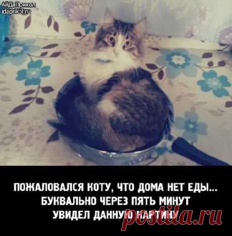 Мой Мир@Mail.Ru