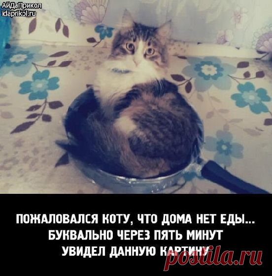 Мой Мир@Mail.Ru