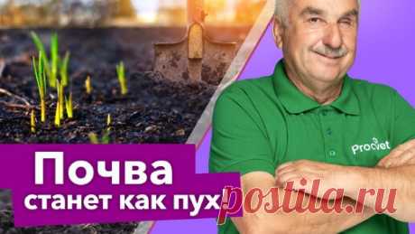 Даже самая тяжелая почва станет рыхлой и плодородной, если сделать ряд нехитрых работ | Procvetok | Дзен