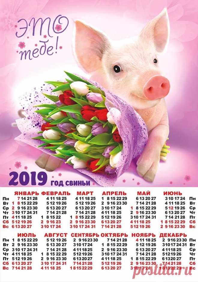 Символ 2019 года - СВИНЬЯ. Календари.