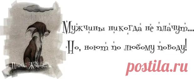 Позитивные фразочки. Для хорошего настроения! - Смехотерапия - медиаплатформа МирТесен