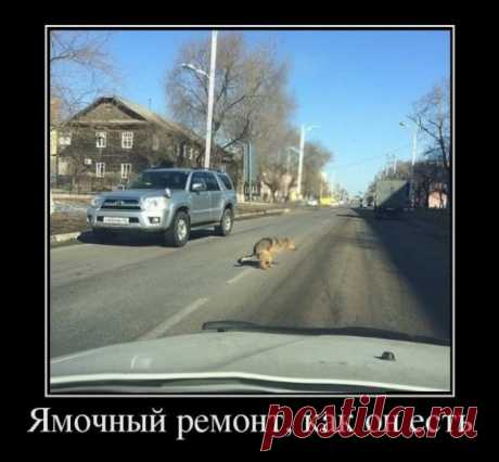 Подборка позитивных демотиваторов