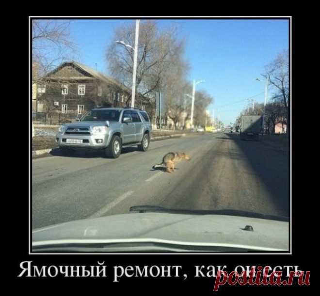 Подборка позитивных демотиваторов