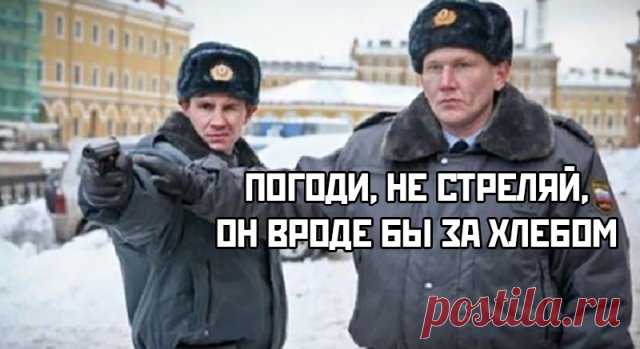 Подборка прикольных картинок (34 фото) - Обхохочешься - медиаплатформа МирТесен