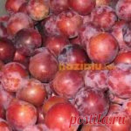 Вот 25 лучших щелочных продуктов на планете! Они спасают от жира, болезней сердца и рака! | KaifZona.Ru