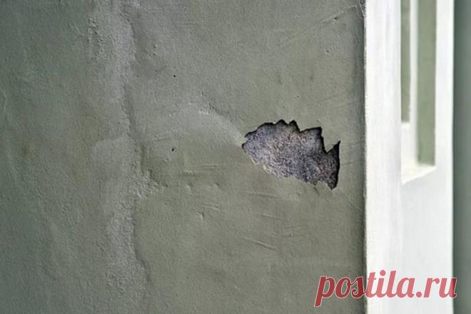 Как предотвратить отслойку штукатурки: 5 советов, проверенных на практике