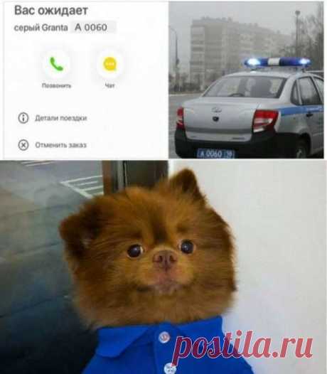 Фотоприколы на АВТОтематику (27 шт) . Тут забавно !!!