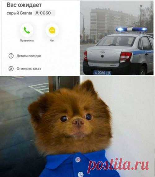 Фотоприколы на АВТОтематику (27 шт) . Тут забавно !!!