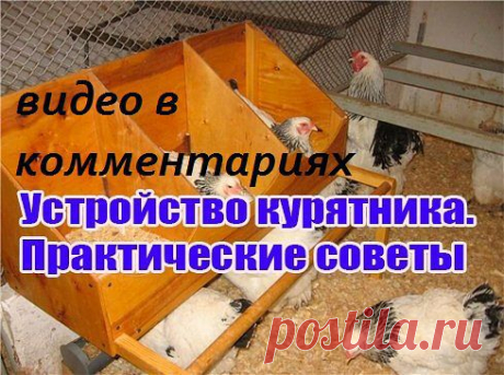 Казахстанский ДАЧНИК - ЦВЕТОВОД
ЛЮБА ГРАЧЁВА \ КОНОПЛЯ