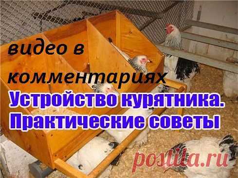 Казахстанский ДАЧНИК - ЦВЕТОВОД
ЛЮБА ГРАЧЁВА \ КОНОПЛЯ