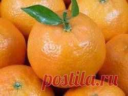 С 10 ноября начнется экспорт грузинских цитрусов в РФ