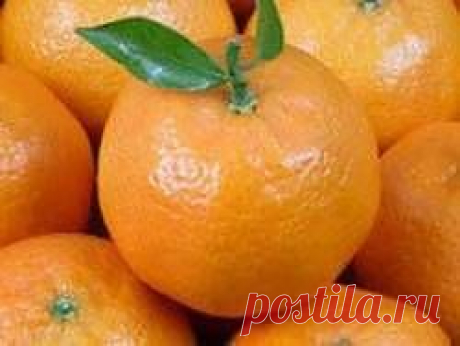 С 10 ноября начнется экспорт грузинских цитрусов в РФ