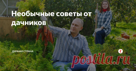 Необычные советы от дачников