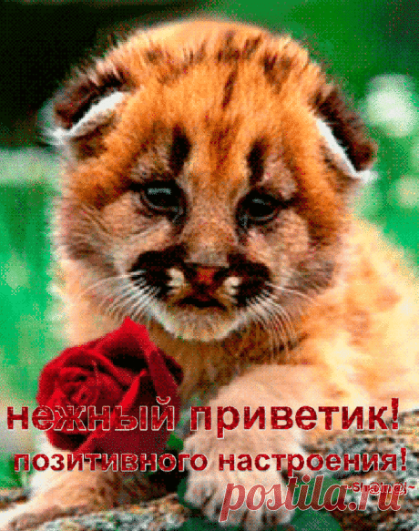s-12819.gif (671×850)