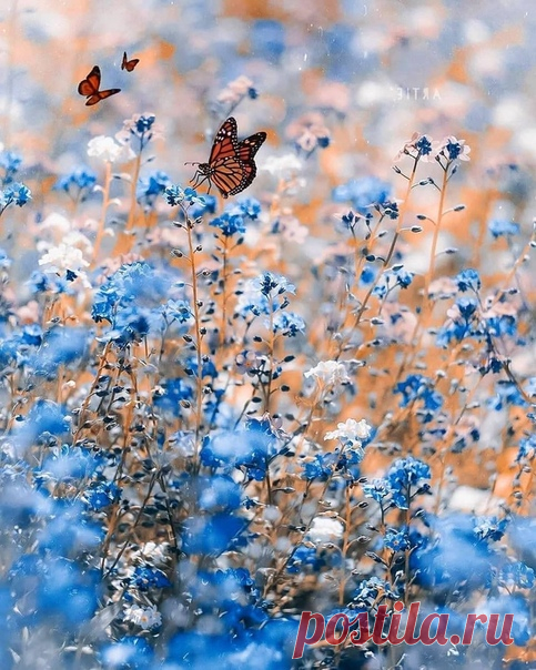 КАКОЙ СЕГОДНЯ ПРАЗДНИК? 30 Апреля 2020 г. – Четверг • Вальпургиева ночь (Walpurgis Night) • День памяти преподобного Акакия, епископа Мелитинского • День пожарной охраны России371 год • Праздник иконы Божией Матери «Избавительница» • День памяти преподобного Зосимы, игумена Соловецкого • Международный день джаза (International Jazz Day)8 лет • День веснушчатых созвездий • Праздник каменной стены • Международный день свечника День рождения Будды - Южная Корея, Таиланд, Вьетнам, Сингапур • День…