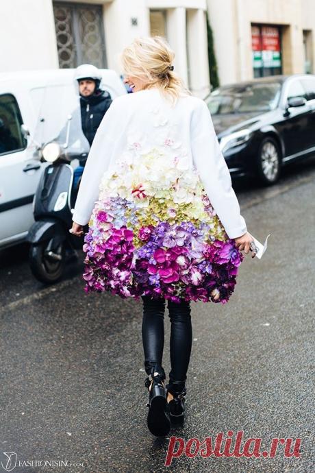 Dior и Balenciaga