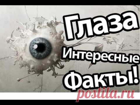 ИНТЕРЕСНЫЕ ФАКТЫ О ЗРЕНИИ.
