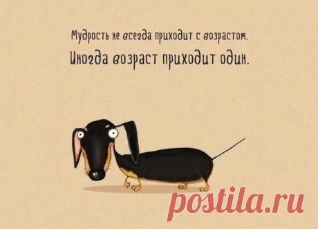Я хочу... | ВКонтакте