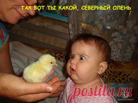 Письмо «сообщение Хьюго_Пьюго_рукоделие : Приятного настроения! Позитивно о детках в фото! (06:52 29-10-2014) [4682845/341593457]» — Хьюго_Пьюго_рукоделие — Яндекс.Почта